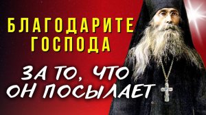 ✨Поверь, и УВИДИШЬ! Бог творит ЧУДЕСА! Истории из жизни! Преподобный Варсонофий Оптинский
