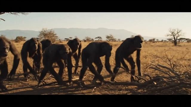 Life 3.9 Million Years Ago ｜ First Fear смотреть онлайн