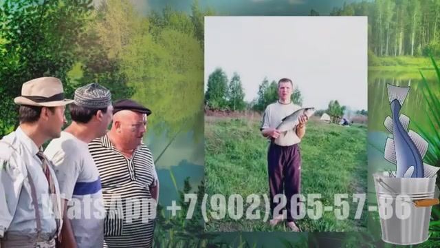 Сделать презентацию к юбилейному дню рождения мужа из фотографий смотреть онлайн