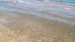 video_2025-08-17_19-16-52 (3)