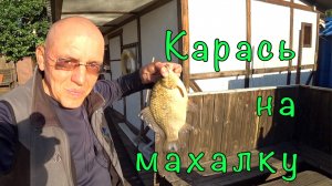 САЗАН и КАРАСЬ на махалку. ЖИЗНЬ на ДАЧЕ.