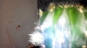 Кактусы. Моя домашняя оранжерея...