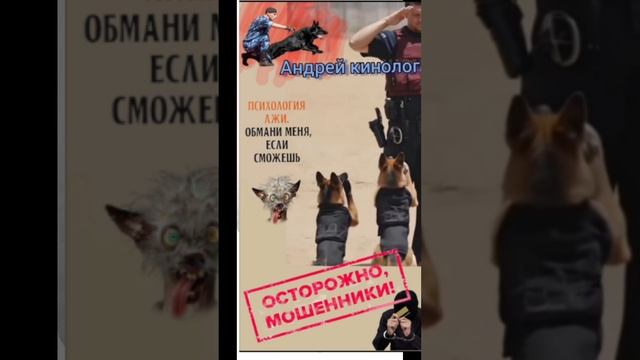 Сборник нечисти 404 смотреть онлайн