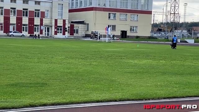 А. Савочкина и De Orse Mak Flay Fidel, IGP-1 B-78 | Чемпионат Новосибирской области по IGP-1