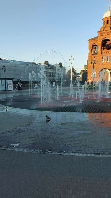 Фонтан возле театра во Владимире 20250813_190640 смотреть онлайн