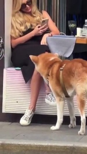 Вкусная женщина😂