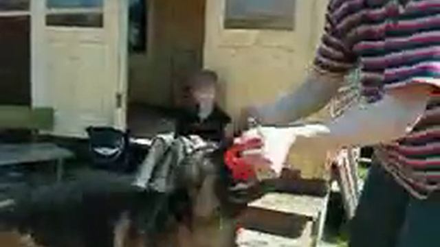 Игрушки для дрессировки немецкой овчарки