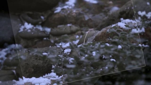 Coswick - Delicacy (Remix by Greenpeace) смотреть онлайн