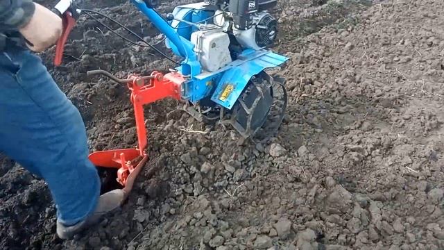 Сажаем картофель 12 апреля 2023 г. смотреть онлайн