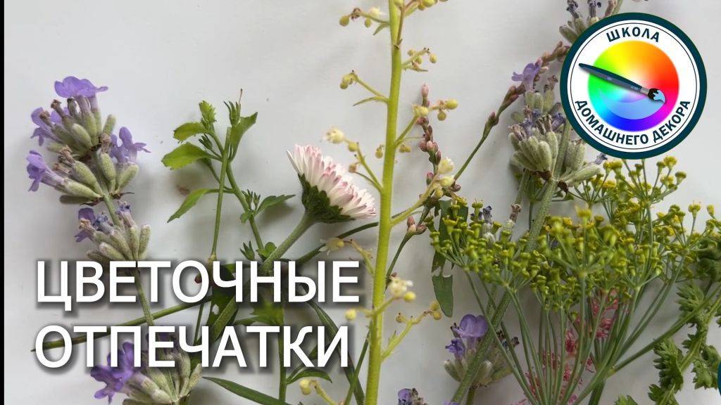 ПРИРОДНЫЕ ОТПЕЧАТКИ В ДЕКОРЕ - отпечатки трав смотреть онлайн