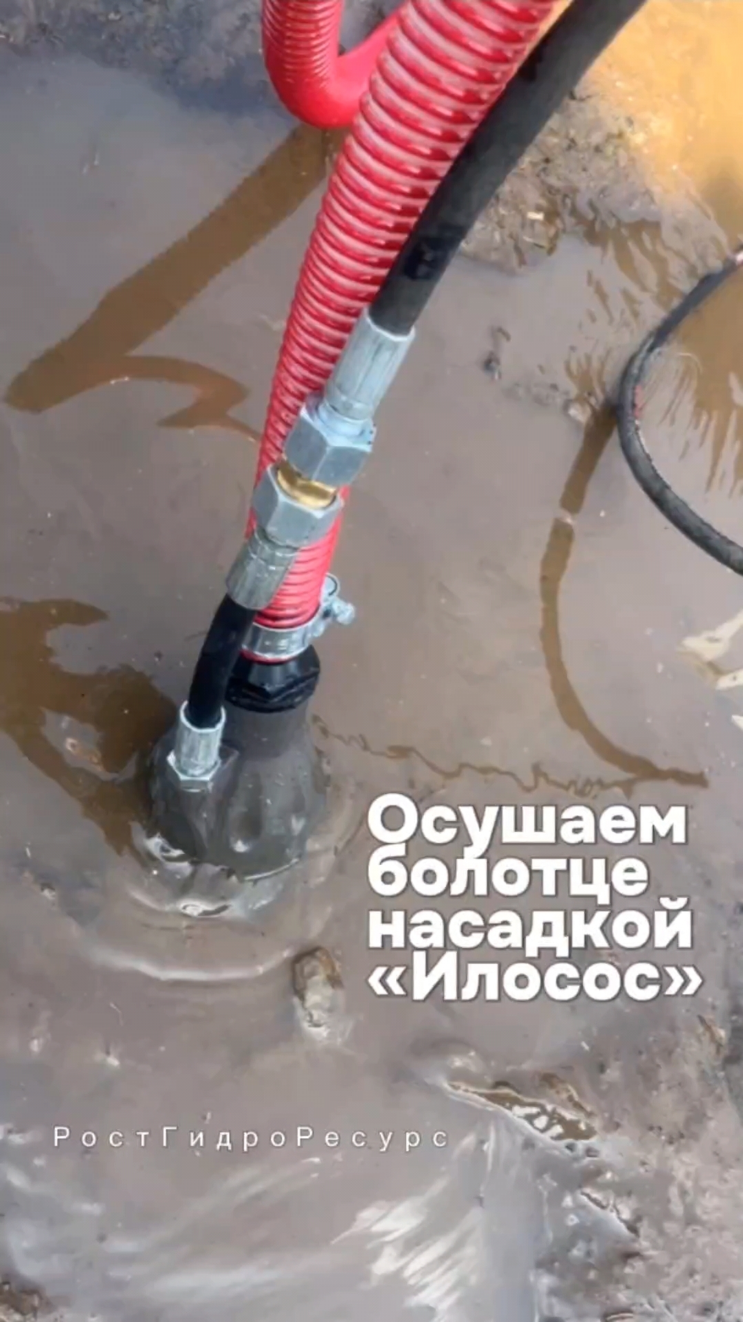 Осушаем болотце насадкой «Илосос» 🐸🐸🐸 #proteus #илосос #гидродинамика