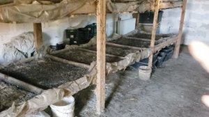 Закончил с разведением червей для рыбалки.17 августа 2025г.