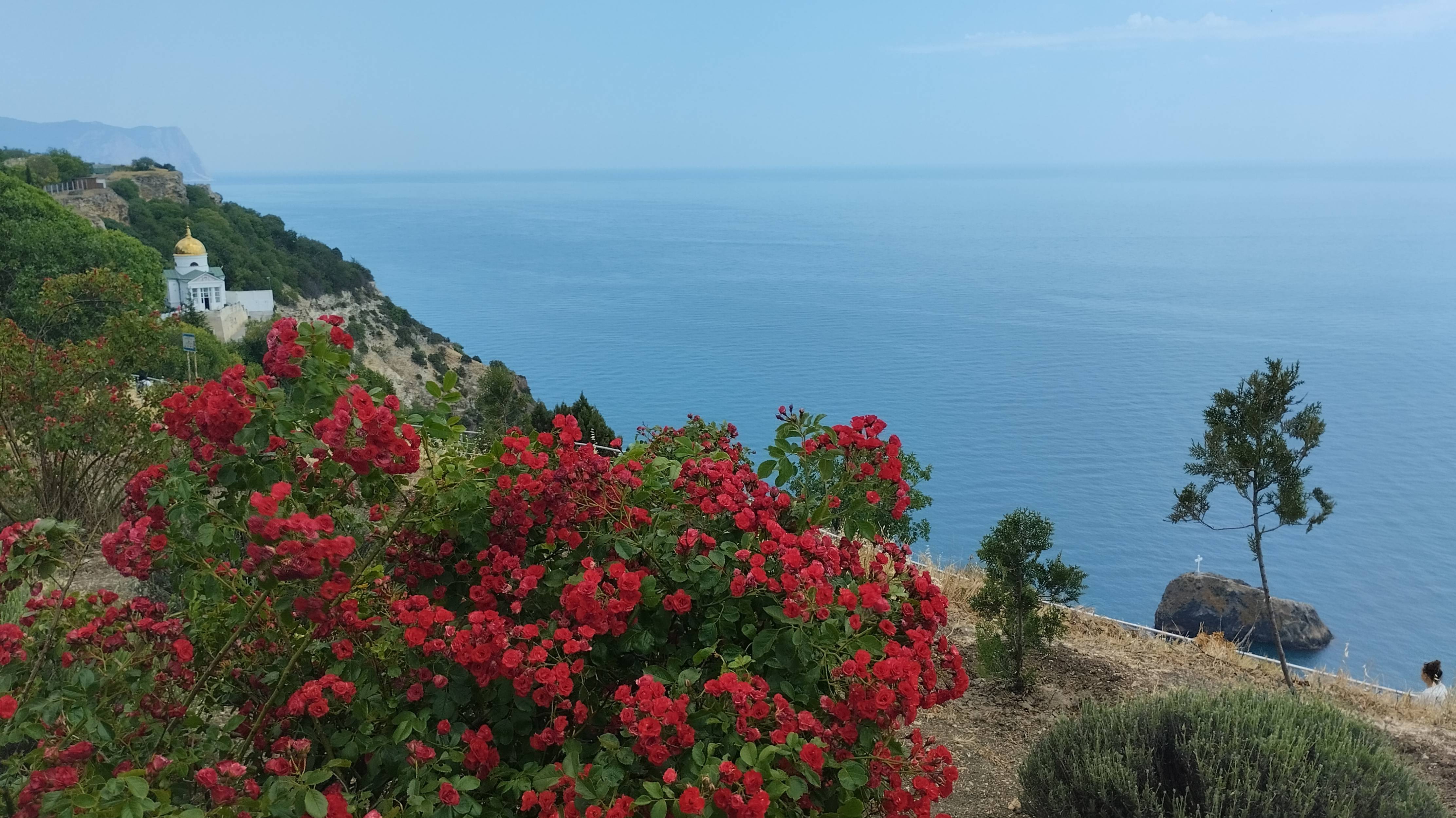 Фиолент смотреть онлайн