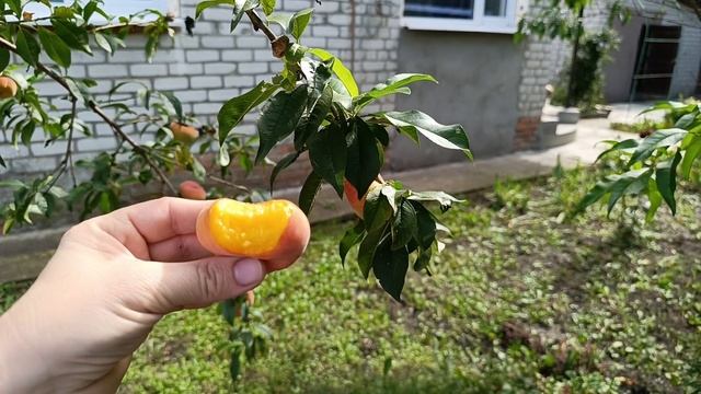 Большой ремонт.Сделаем жилой дом из развалюшки. Заливаем полы, пробиваем в стенах дверные проёмы. смотреть онлайн