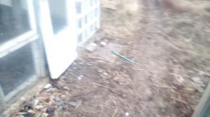 Обновка для теплицы... термометр...