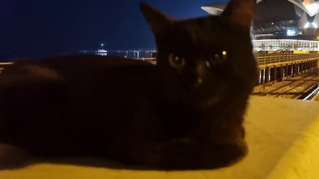 Азербайджан 2025. Часть 1