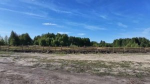 EDgun Fenix кучность на100 метром 1 MOA