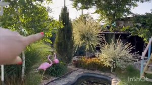 Прогулка по саду с названием хвойных 🌲27 мая.