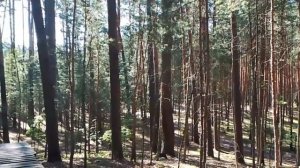 ВЫХОД И ПРОВОДЫ НА ПЕНСИЮ. Наблюдения и удивления.