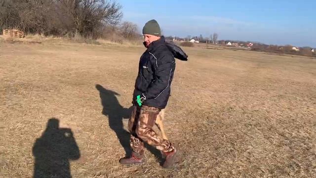 Учимся играть с собакой. Это поможет в дальнейшей работе по защите. Уроки от Gratsiano