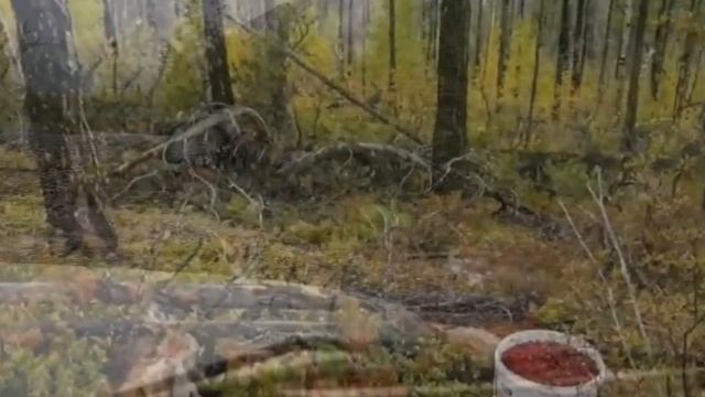 Песня на стихи Юрия Кузнецова В Лучезарном.Про настоящих мужиков. смотреть онлайн