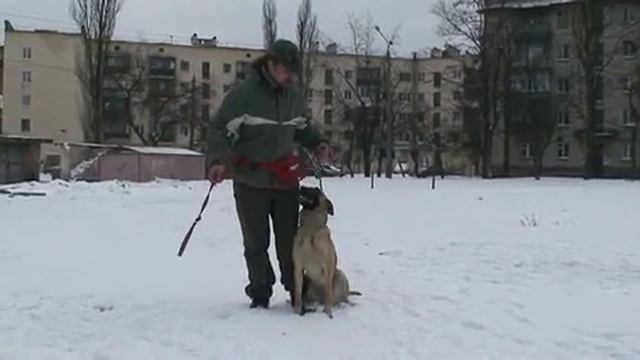 Кличка, команда 'Рядом' от Виталия Голота