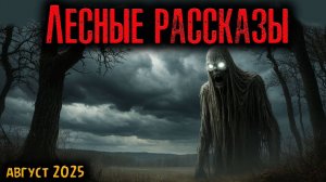 ЛЕСНЫЕ РАССКАЗЫ | Страшные истории