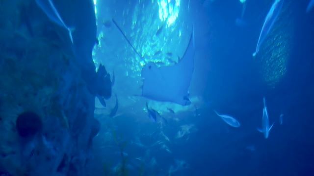 Ijan Zagorsky - Still Alive смотреть онлайн