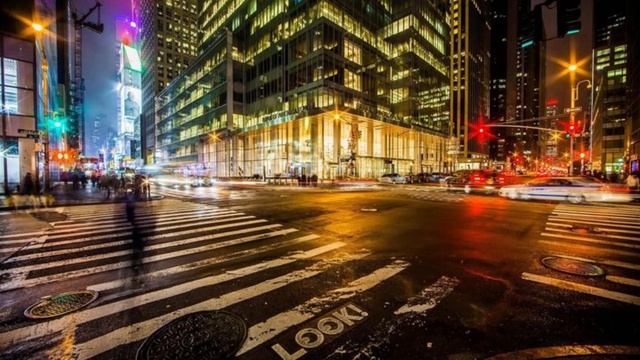 медведь в городе