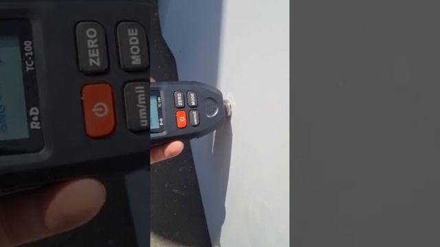 7293207