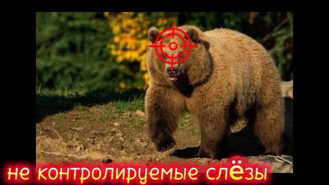 Да если честно может  быть больше но Яндекс не дал :(