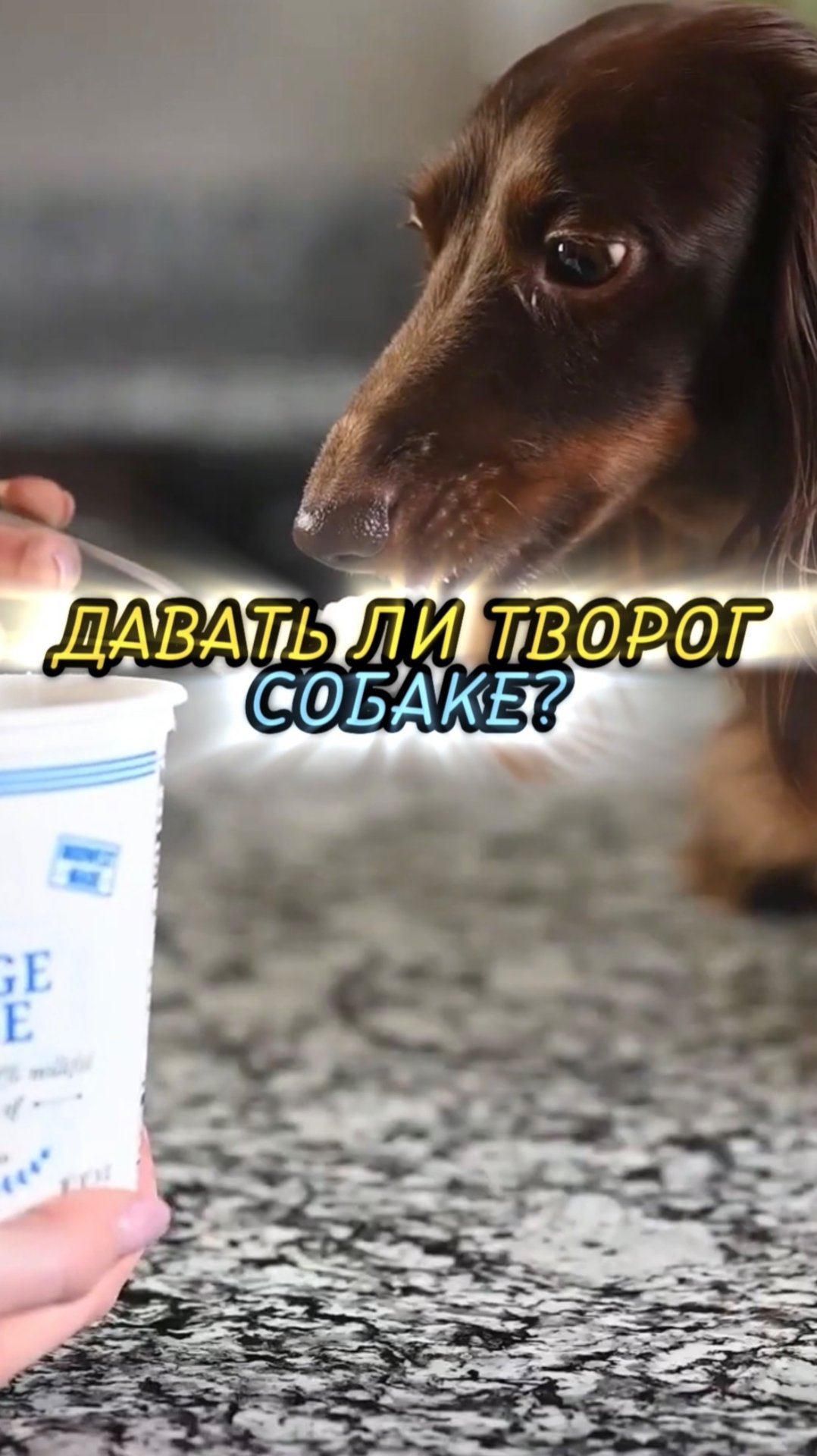 Полезен ли творог? 🎁Бесплатные уроки. Жми сюда! смотреть онлайн