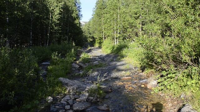 Туристическая тропа на пути к хребту Нургуш, Южный Урал