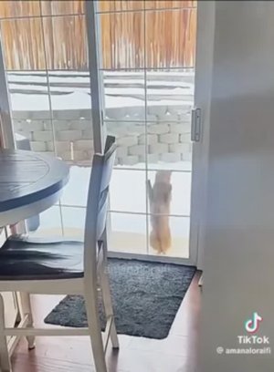 Улыбнитесь😂😂😂