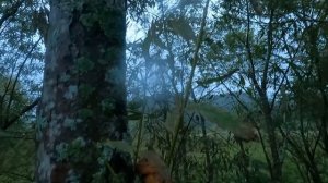 Охота на утку/  2 утрянки