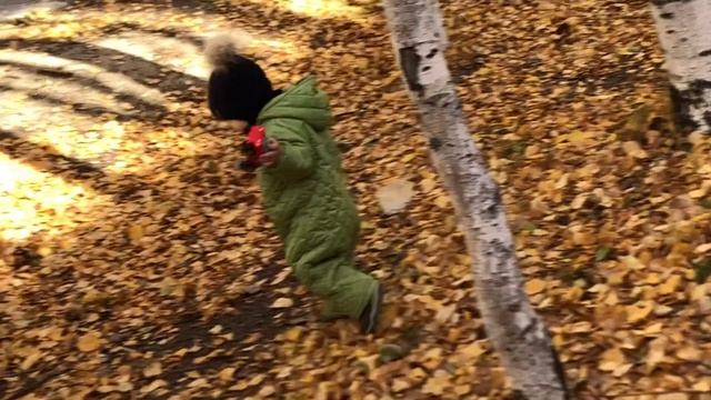 Осенняя прогулка