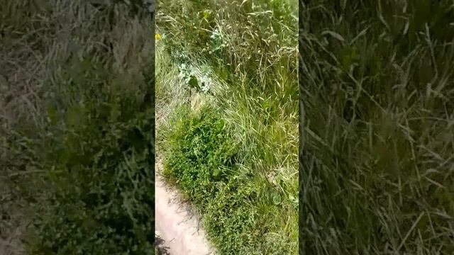 4 сезон 5 серия улица смотреть онлайн