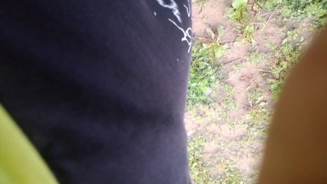 видео смотреть онлайн