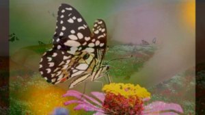 Дом Наталья Власова