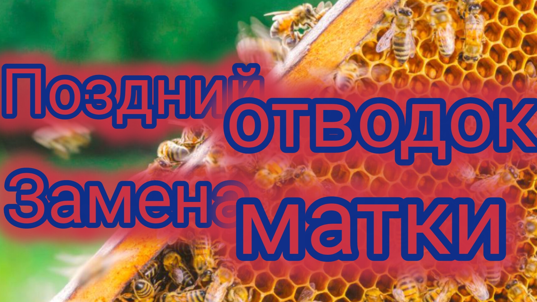 Поздний отводок.Замена матки смотреть онлайн