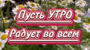 С добрым утром! Пусть утро радует во всем. Песня с добрым утром
