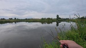 МОРМЫШИНГ. Карась и окунь на пруду.