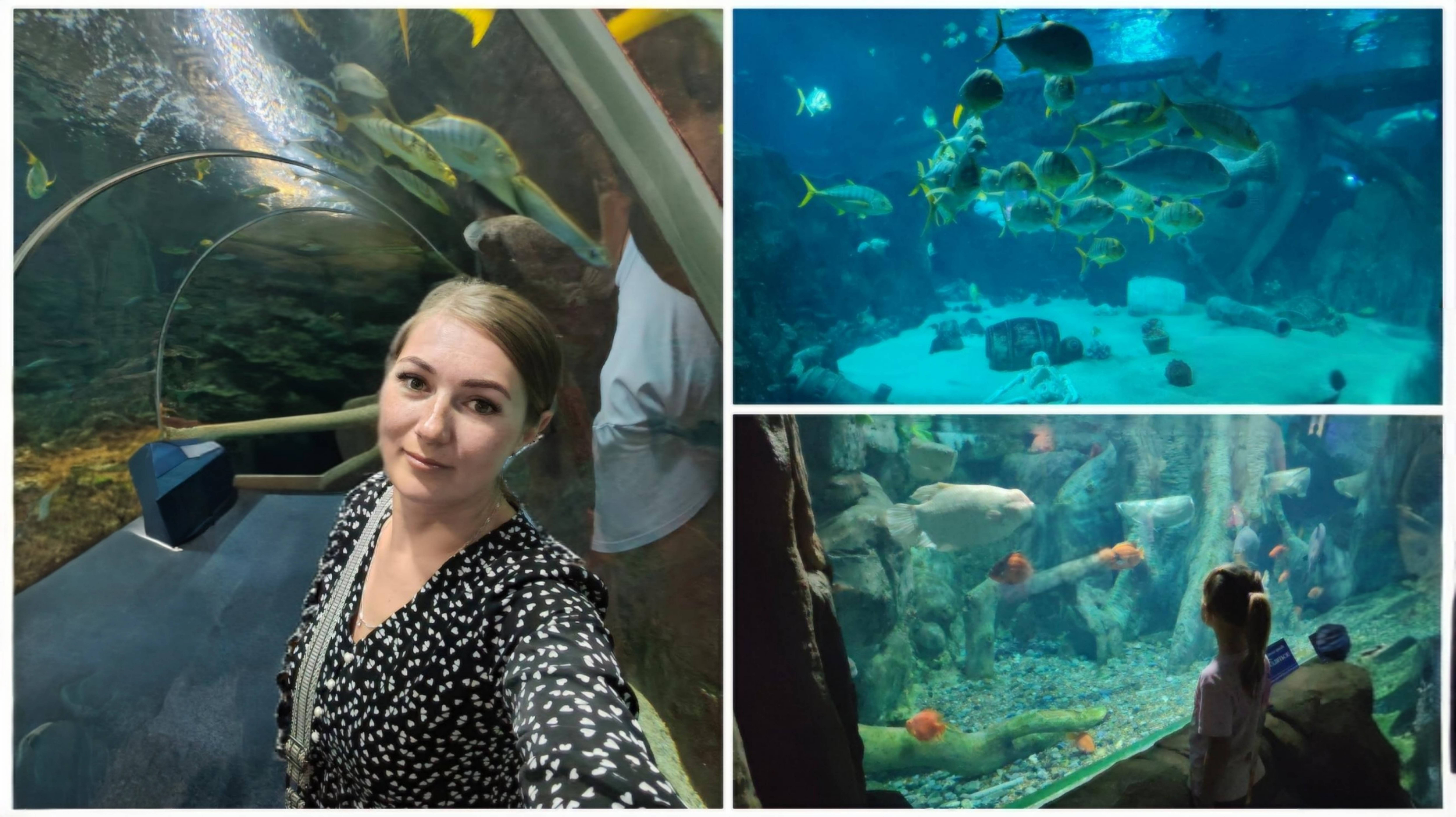 ВЛОГ 15.06.25 ОКЕАНАРИУМ В АДЛЕРЕ/ПЛЯЖ В КУРОРТНОМ ГОРОДКЕ смотреть онлайн