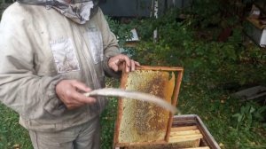 Сокращаем на несколько рамок в улье .