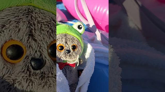 Феликс знакомится с... ЛЯГУШОЙ?! |лягуша потерялся и теперь с нами! |канал БасАлиса!