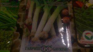 Чечевица, руккола.