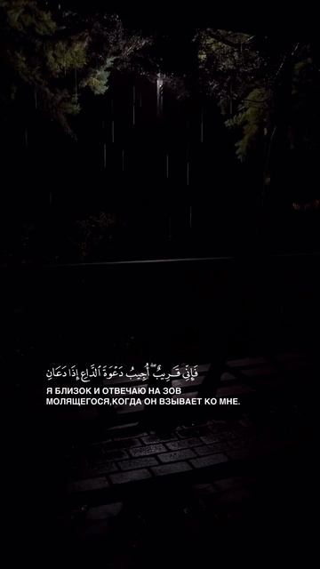 если бы раб увидел, как Господь слушает его во время дуа, он бы постеснялся думать, что его мольба н