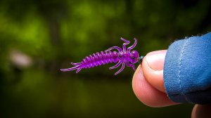 ЭТА ПРИМАНКА БЕЗ РЫБЫ НЕ ОСТАВИТ! 🔥 / ТЕСТ НОВИНОК ДЛЯ МОРМЫШИНГА от NOVA BAITS