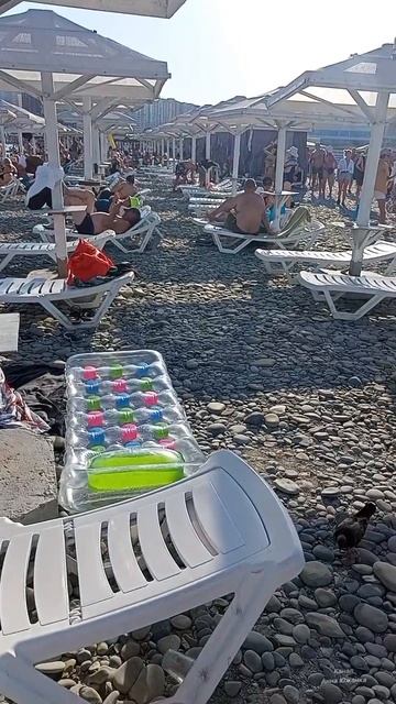 Город Новороссийск, пляж Алексино сегодня 17.08.2025 г. смотреть онлайн