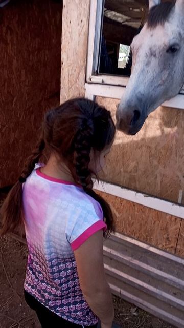 лошади любят морковь смотреть онлайн